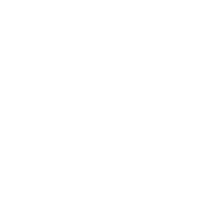 Logo Suzuki bianco