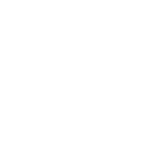 Logo Sym bianco