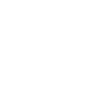 Logo Casalini Bianco