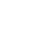 Logo Suzuki bianco